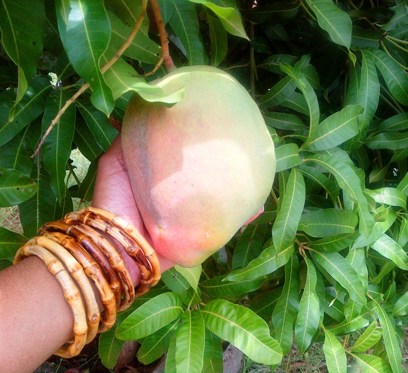 Mouthwatering Mango