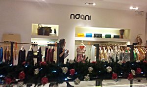 Ndani Selfridges