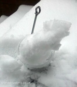 snow icecream harvest