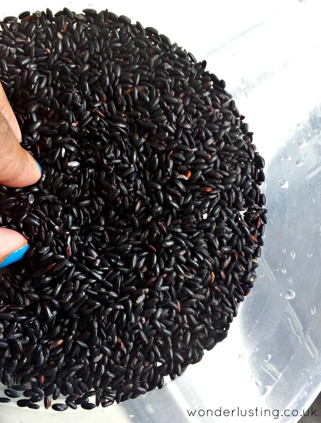 Black rice grains