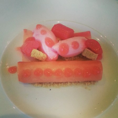 Rhubarb and Ginger Cheesecake