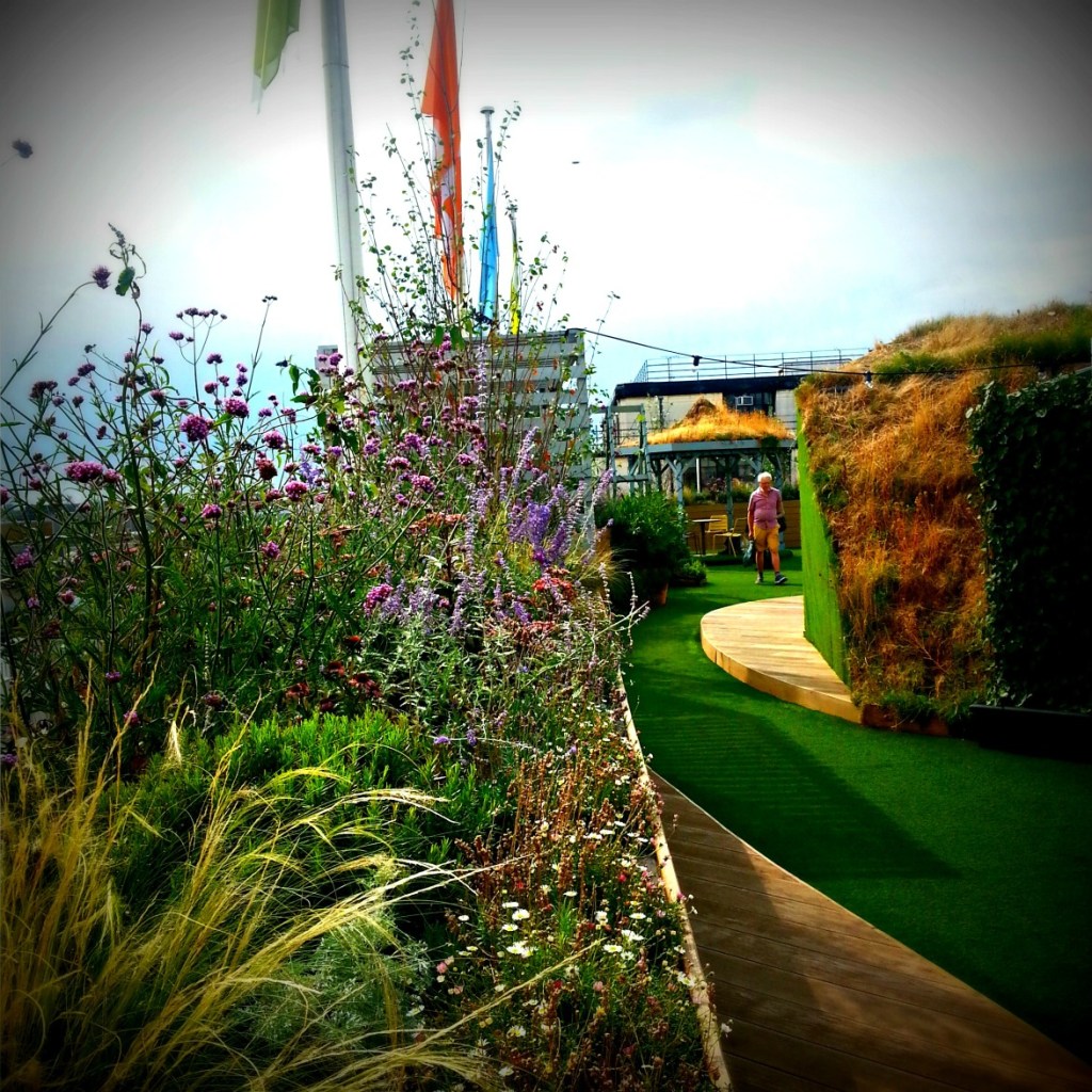 JohnLewisroofgarden2a