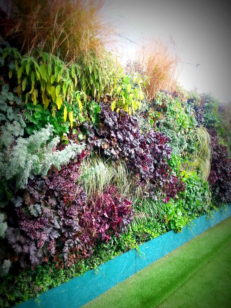 JohnLewisroofgarden5