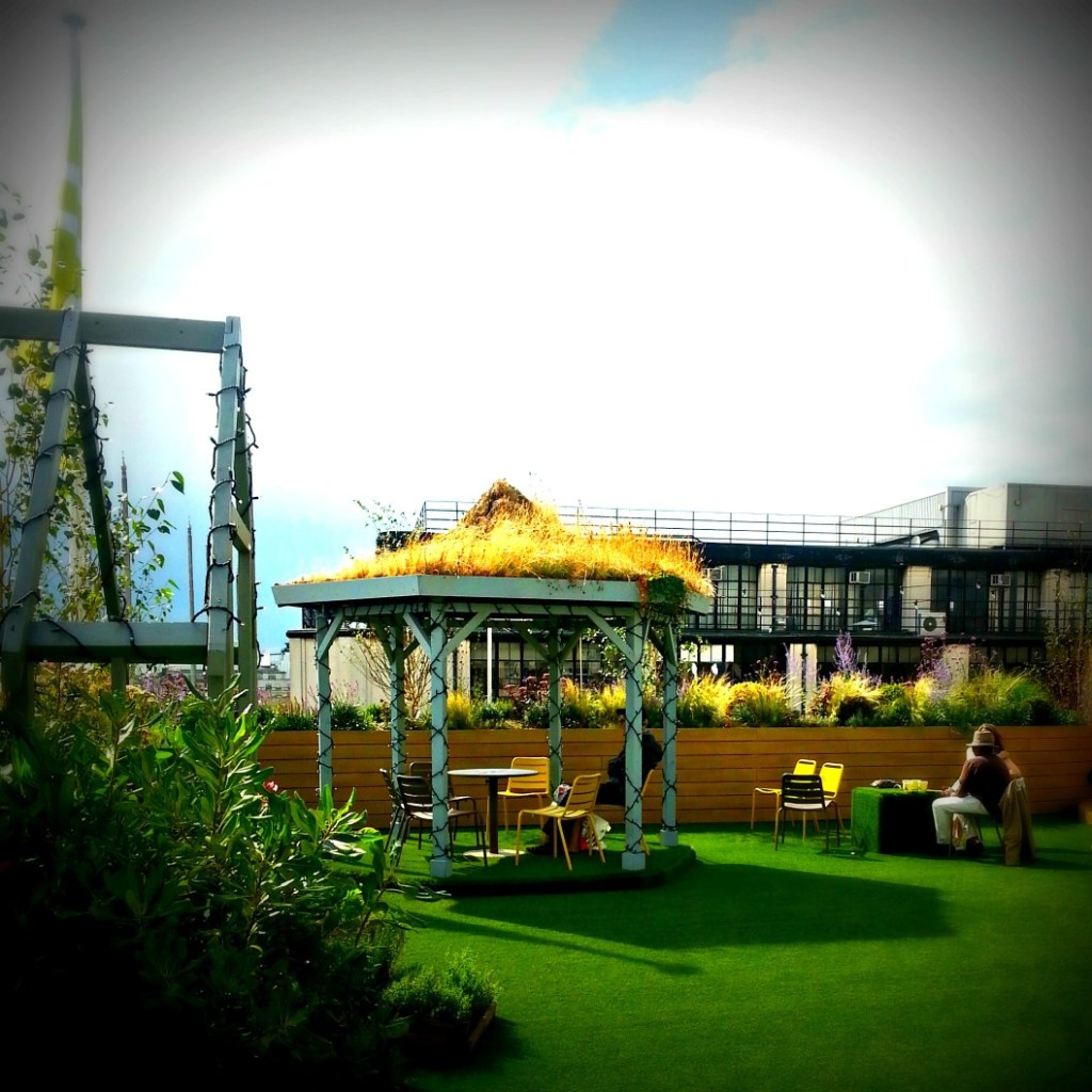 JohnLewisroofgardena