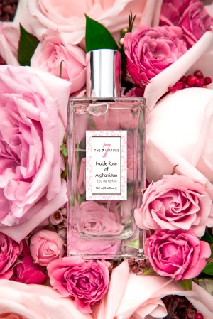 The 7 Virtues Noble Rose of Afghanistan