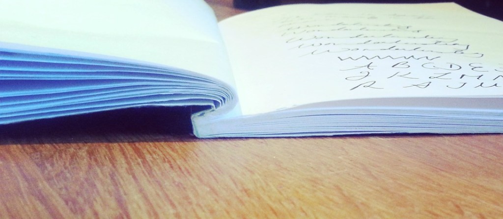 Chroma notebook opened up