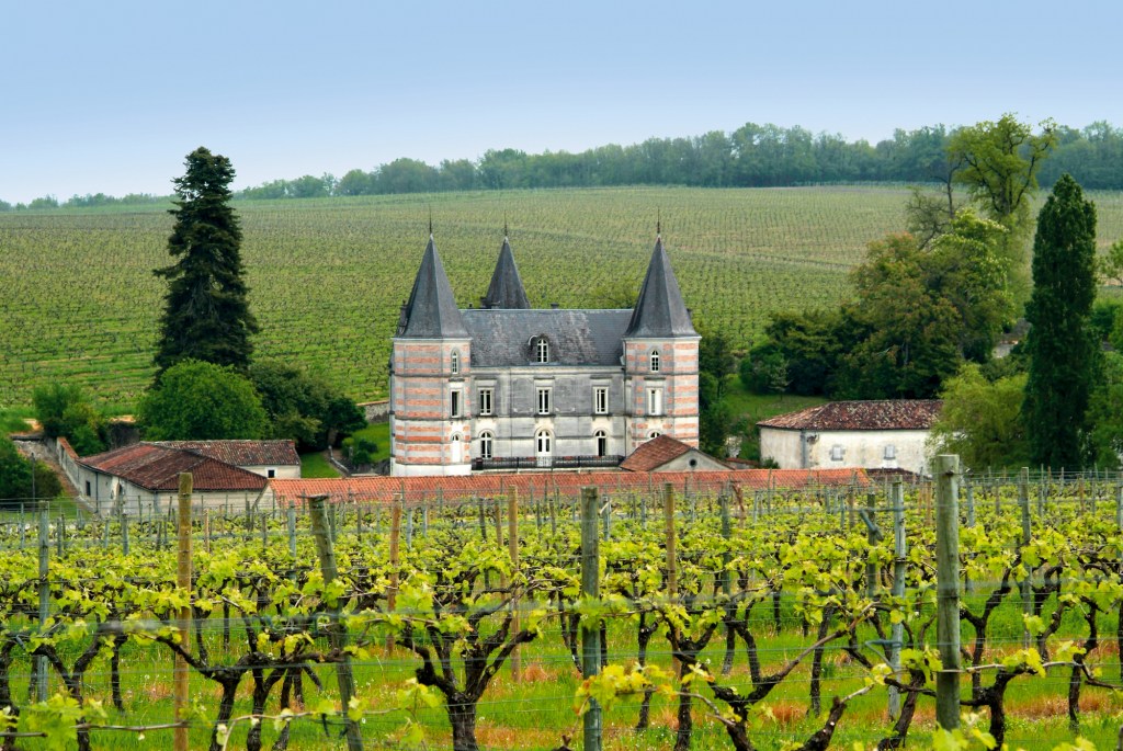 Fontpinot Castle in Segonzac, surrounded by hundreds of acres vineyard