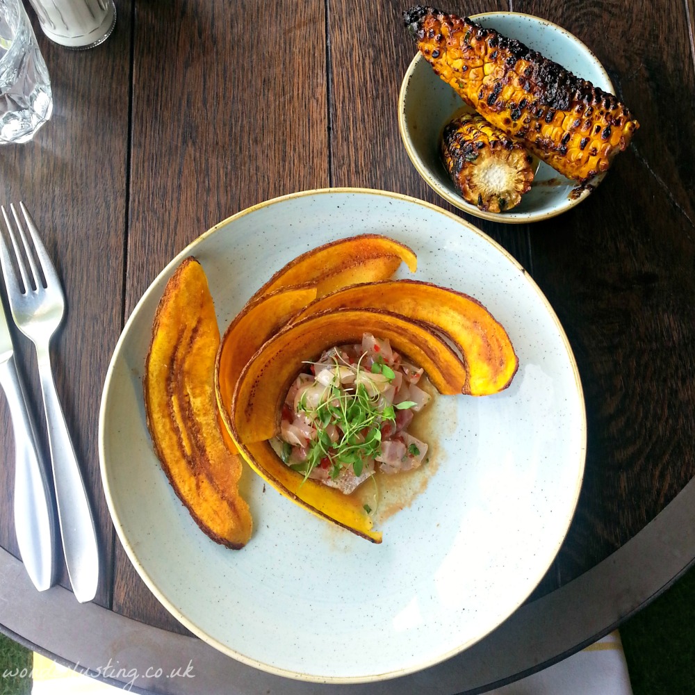 Ceviche and plantain chips