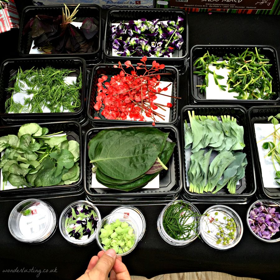 Koppert Cress selection of intriguing microgreens ...including apple blossom, oyster leaves, camembert leaves, sweet-tasting dulce buttons