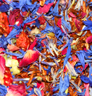 Makeda of Sheba, African Queens Tea, Yswara