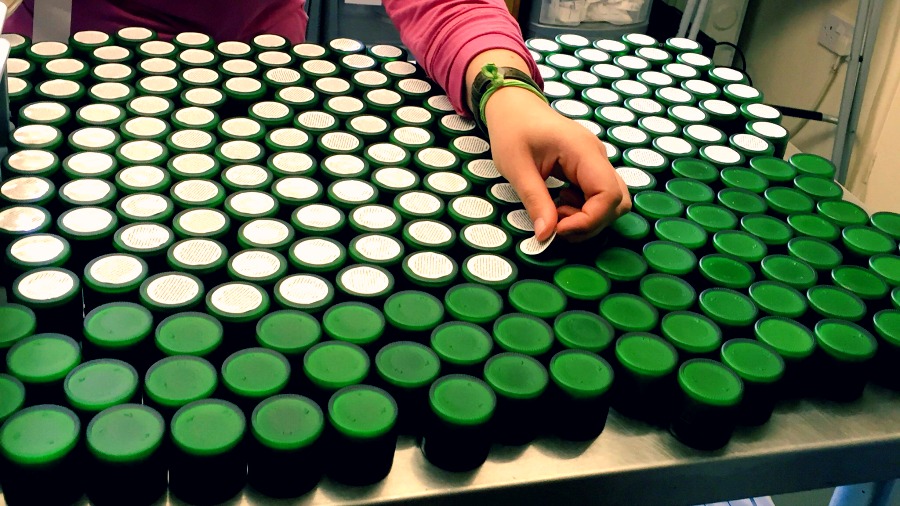 Herbfarmacy jars being labelled by hand