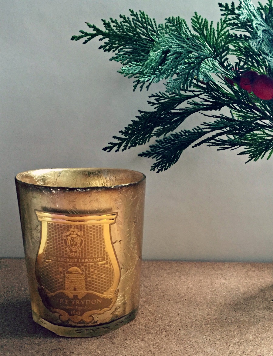 Cire Trudon Ernesto candle
