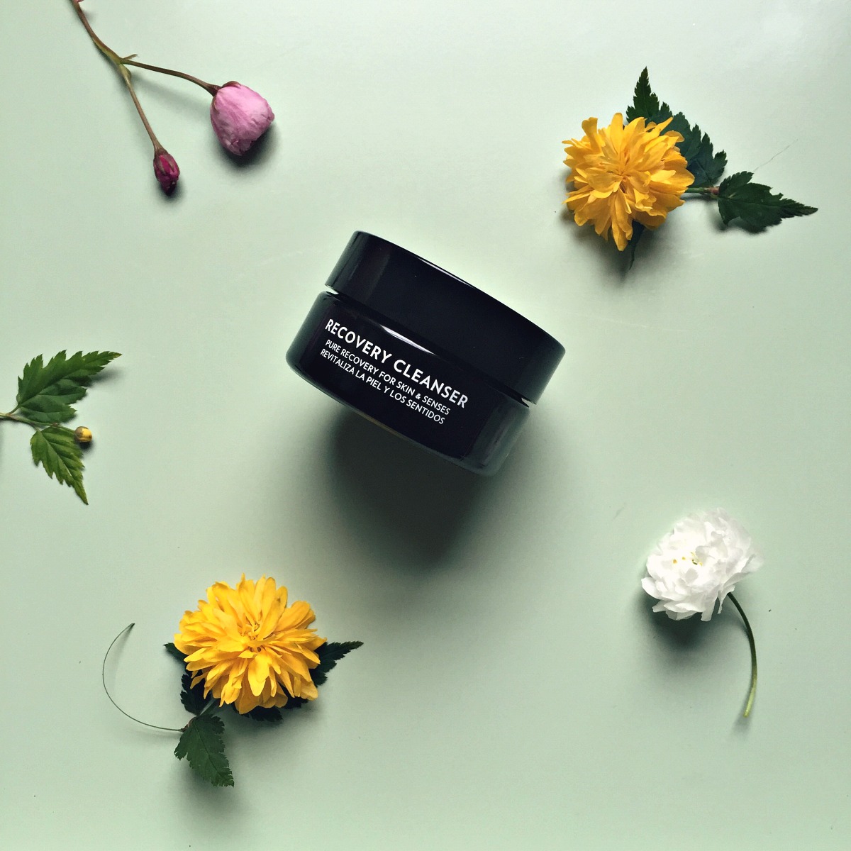 Dafna's recovery cleanser