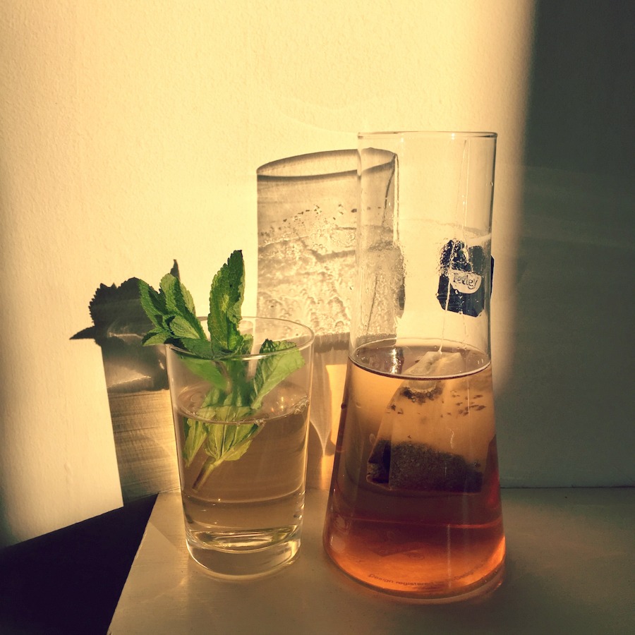 Tetley Indulgence Chocolate Mint Tea