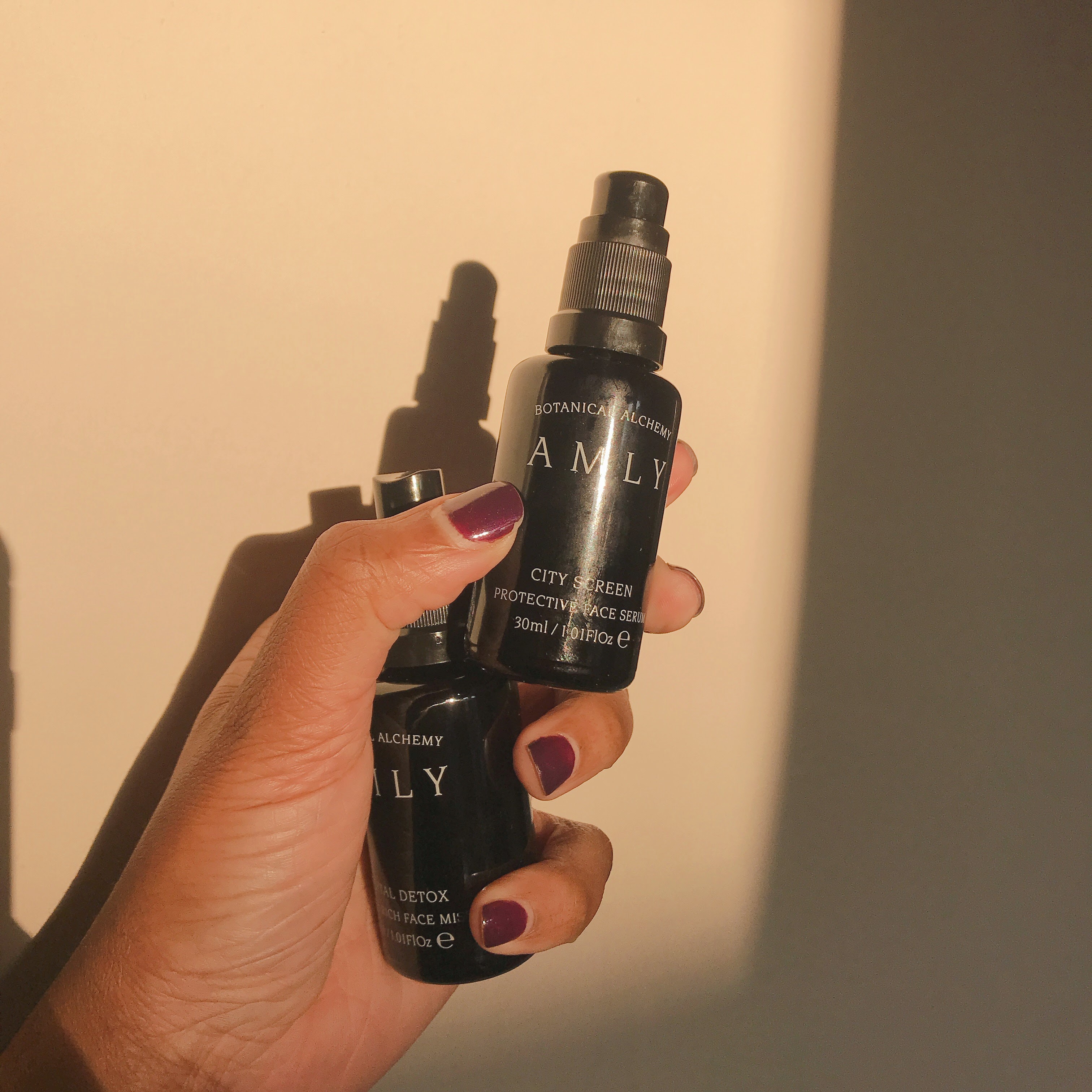 AmlyPillarsofProtection