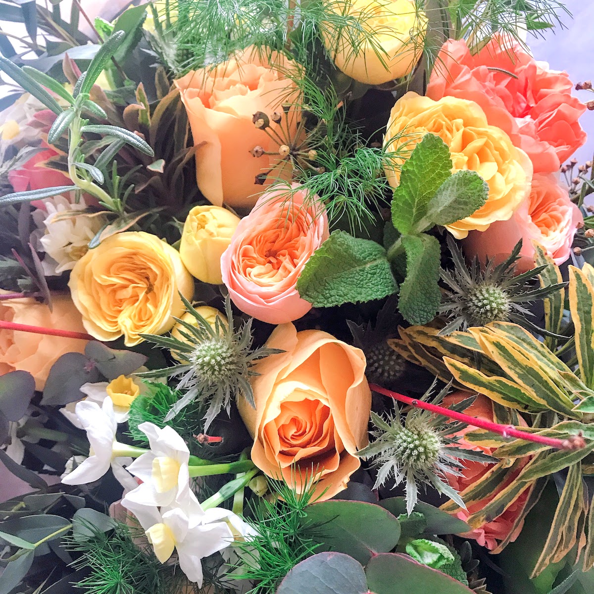 The Real Flower Co - Florist's Choice