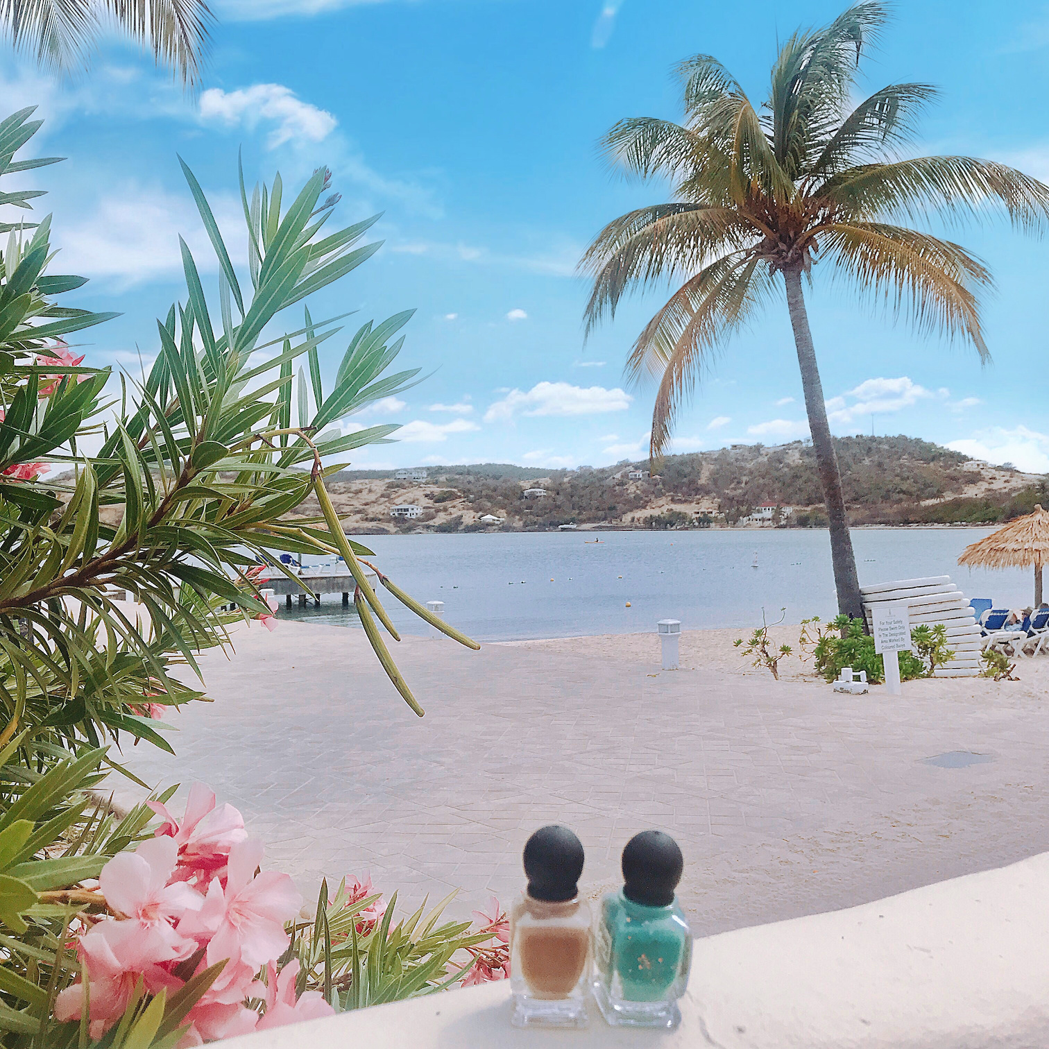 Cienna Rose 12-free nail polish bottles