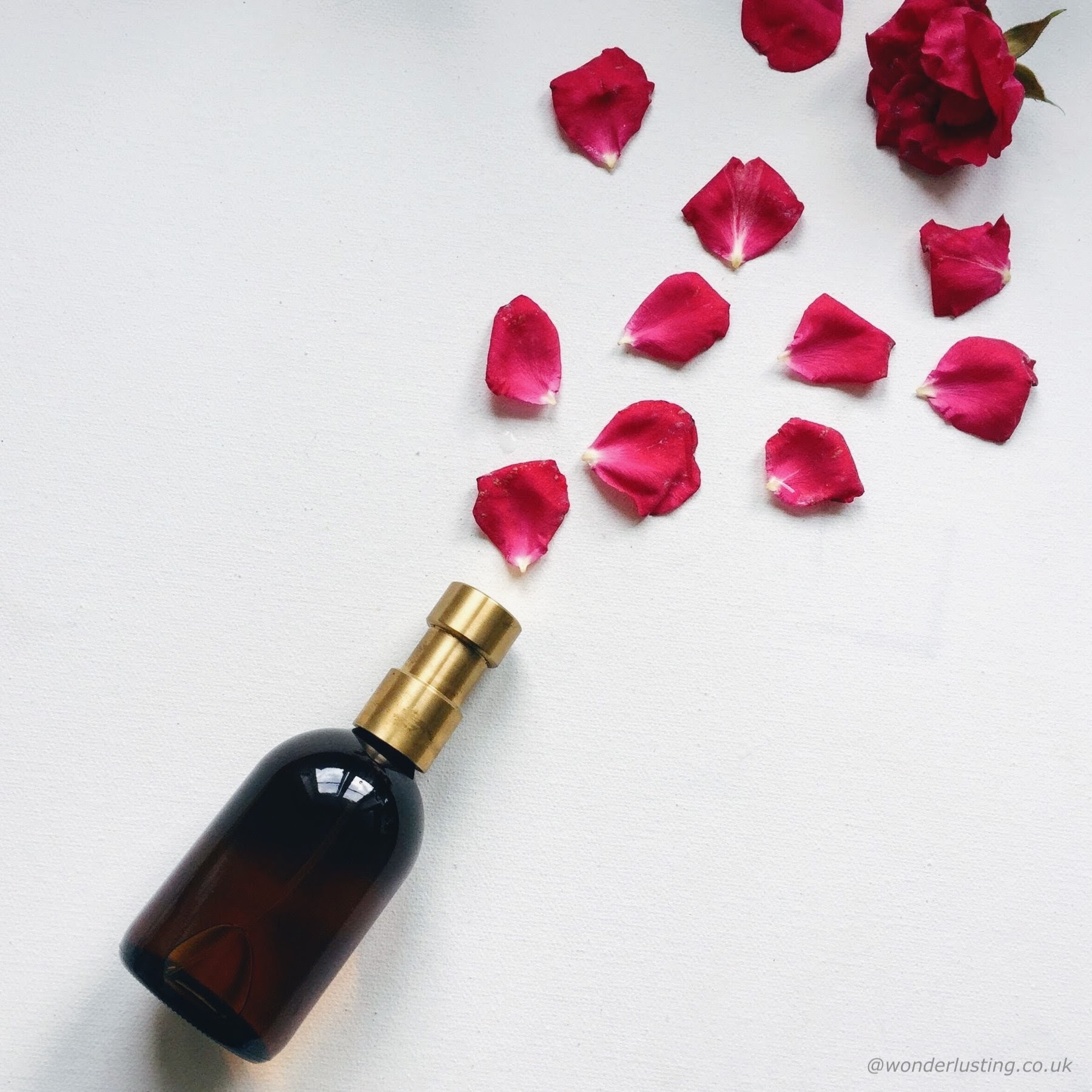 Haeckels Dreamland perfume review