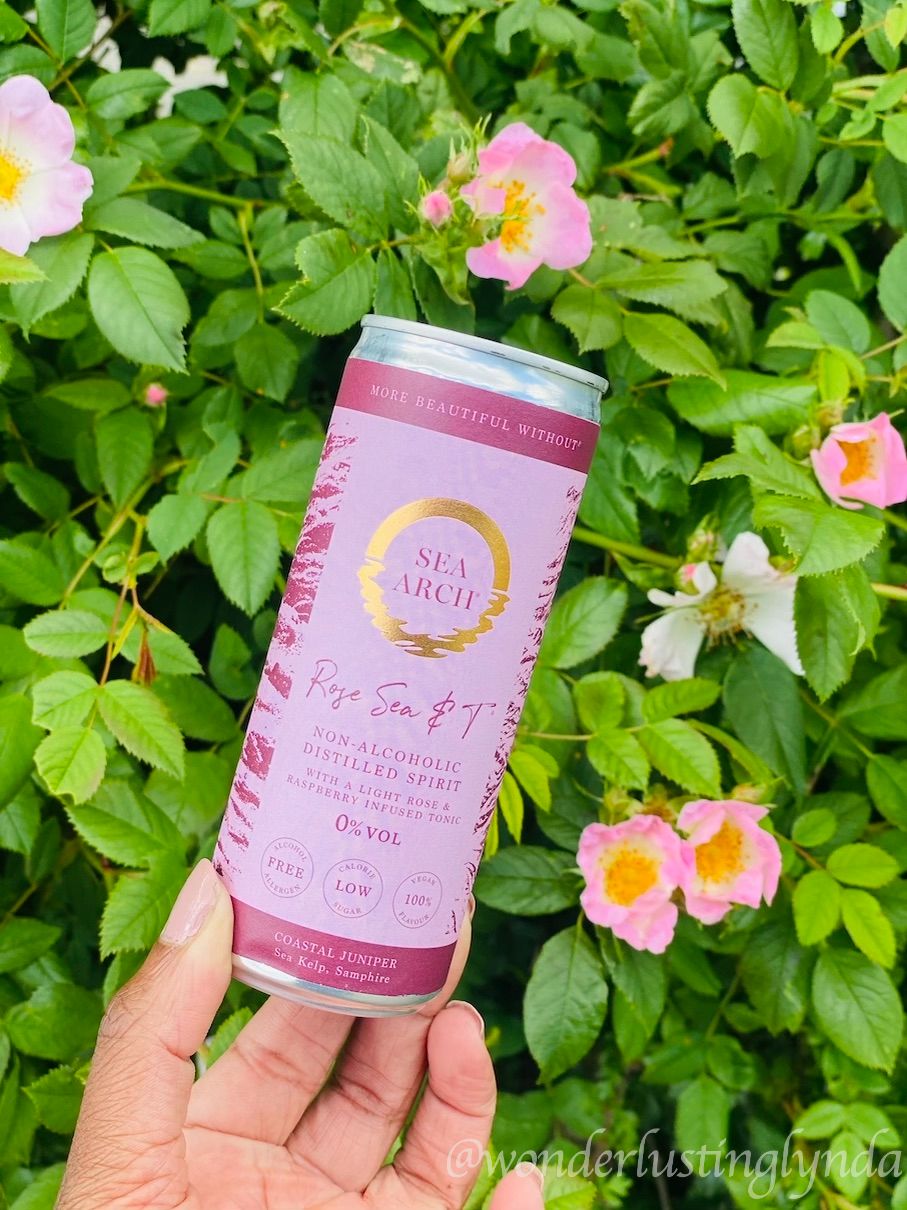 Sea Arch (non alcoholic distilled spirit) Rose Sea & T can in hand in front of rose bush