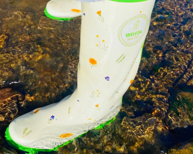 Weleda Wellness Retreats activities